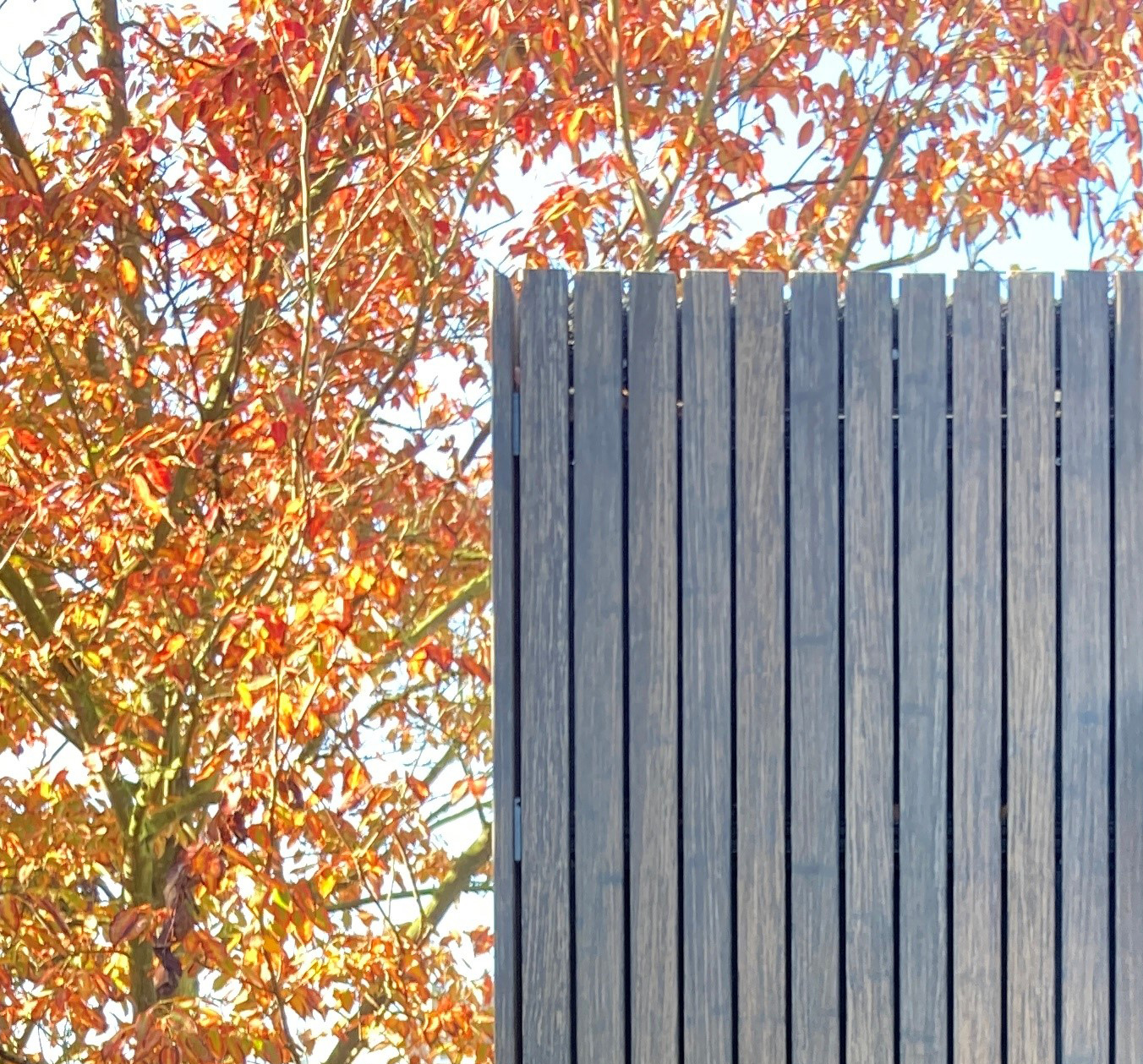 bamboe duurzaam architectuur detail