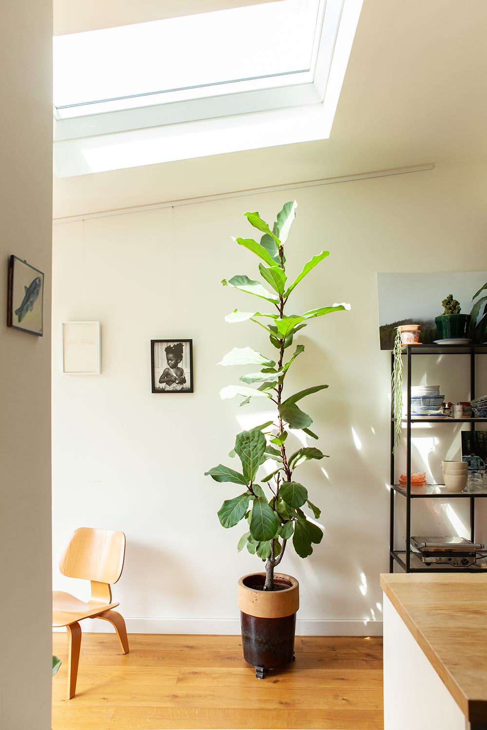 Architect Den Bosch